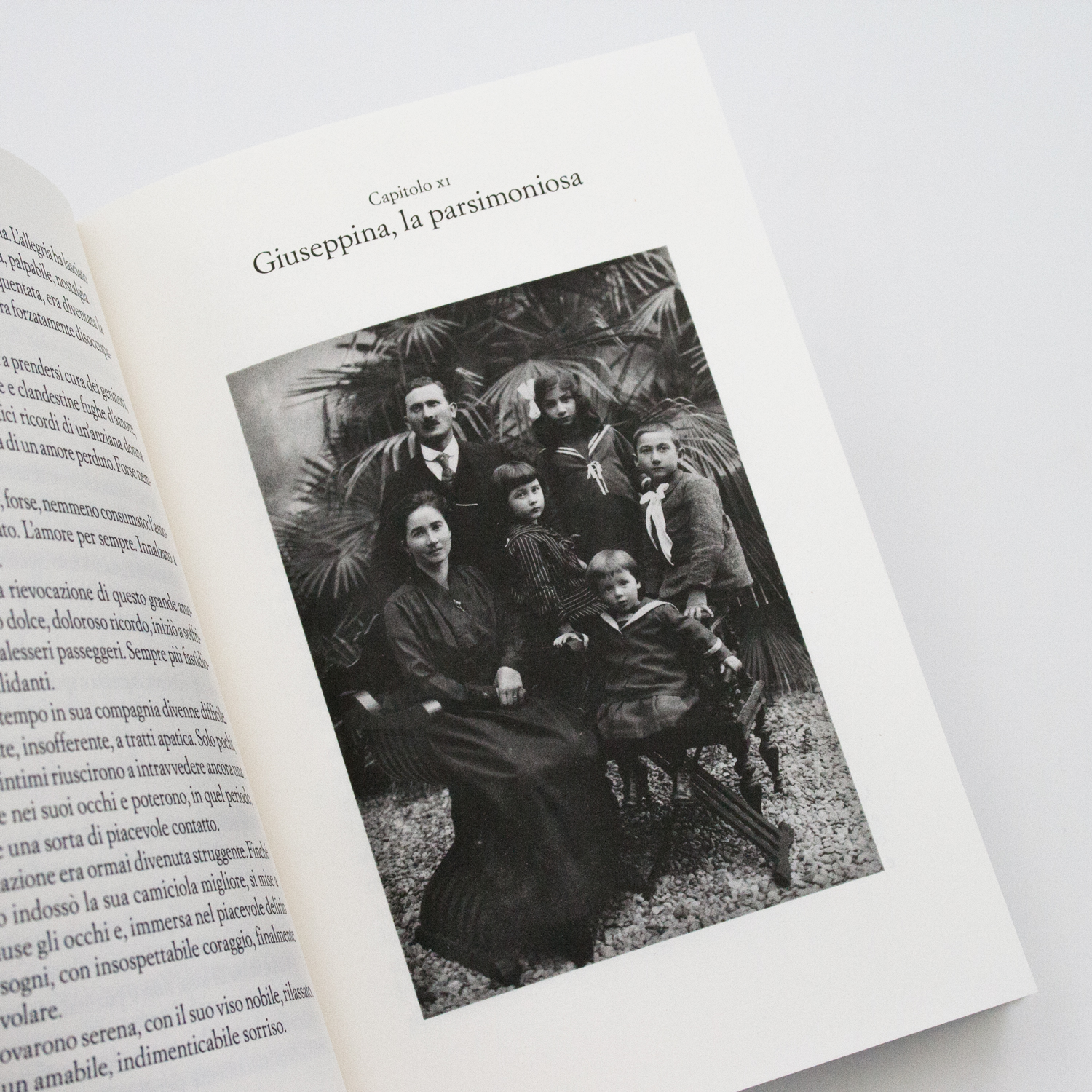 Le stagioni dei Venturini. Romanzo di una famiglia ticinese - immagine 6